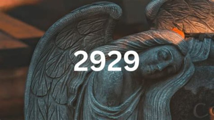 「2929姐さん-誤爆」とは何か──拡散情報を見る前に知るべきこと