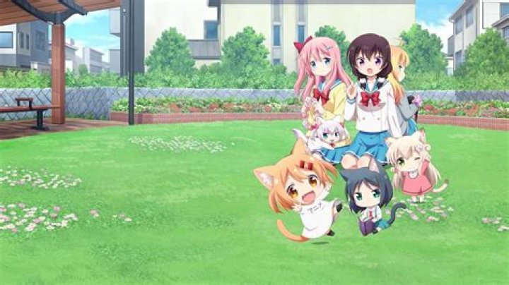 ドラムメニャーにゃんことは？意味・確認方法・検索のコツを整理