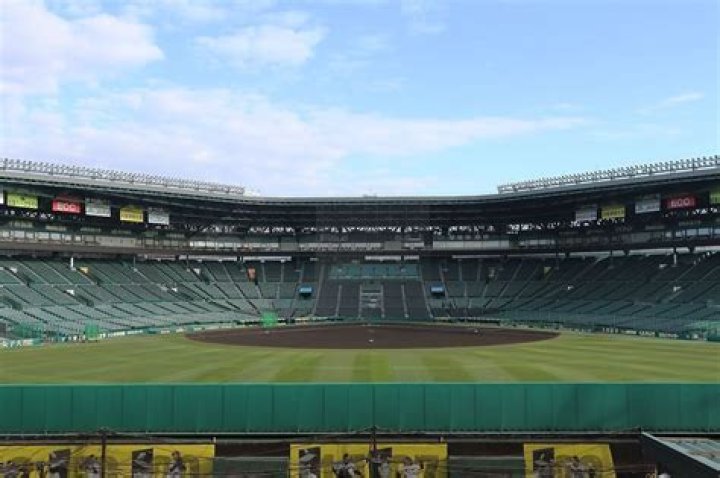 阪神甲子園球場の天気は今日どう見る？試合観戦前の確認ポイント