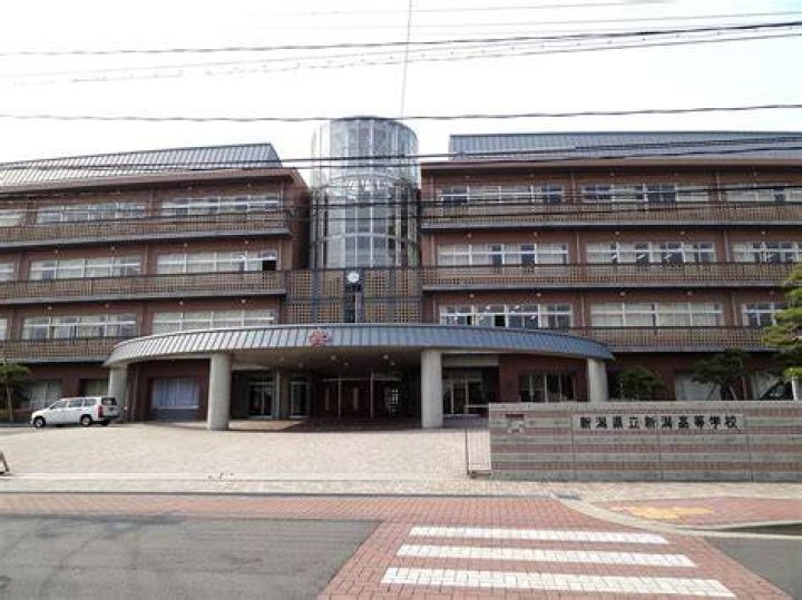 新潟の高校野球としたらば掲示板——地元ファンが熱狂する理由
