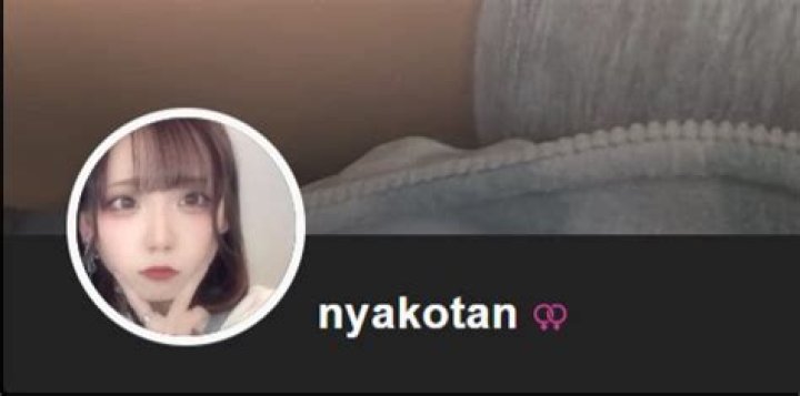 nyakotanなこを探す前に知りたいこと：名前、検索方法、注意点